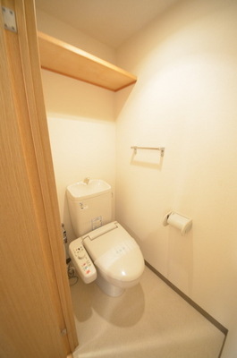 Toilet. Warm water washing toilet seat