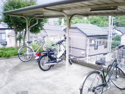 Parking lot. Bicycle parking space