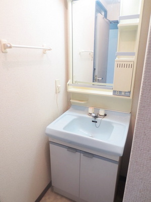 Washroom. Independent wash basin