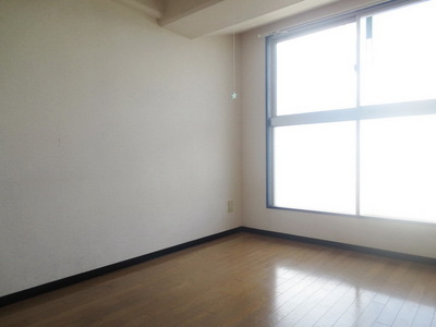 Living and room. Bright rooms