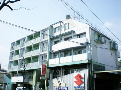 Building appearance. Firmly Mansion