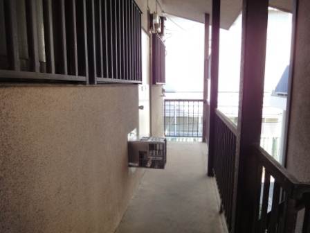 Other. Washing machine shared hallway