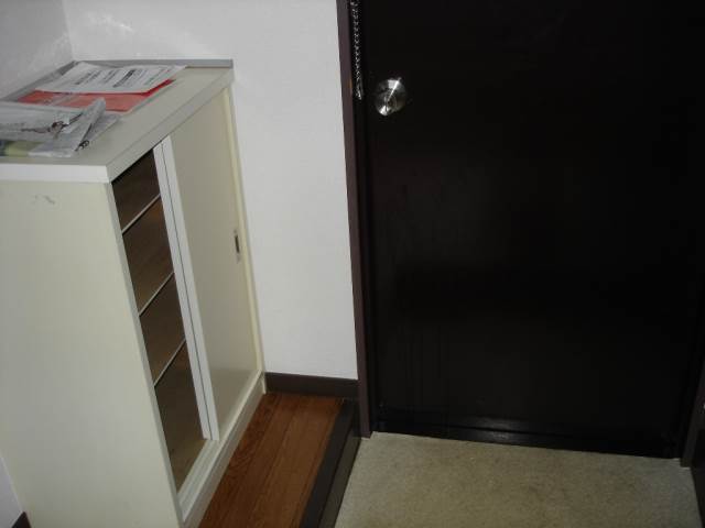 Entrance. There is also a shoe box