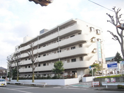 Building appearance. Mansion