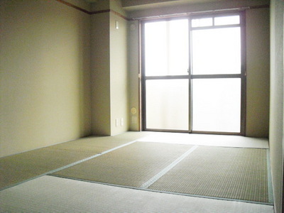 Other room space. Japanese style room