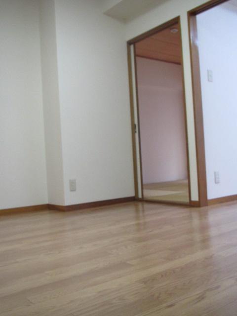 Living. Indoor (10 May 2013) Shooting Japanese-style direction from DK