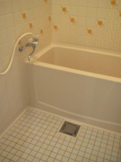 Bathroom. Indoor (10 May 2013) Shooting