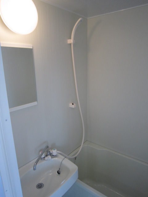 Bath. Bright bathroom.