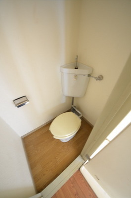 Toilet. ☆ Loose your toilet ☆