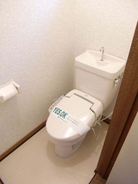 Toilet. Bathroom with a shower