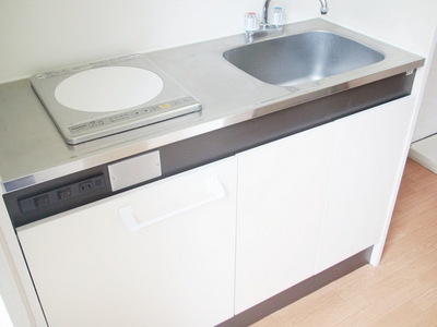 Kitchen. IH system kitchen