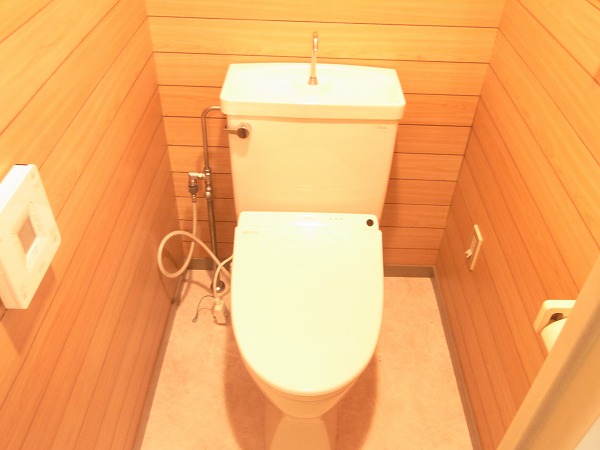Toilet