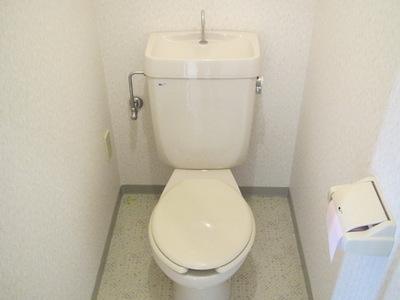 Toilet. Toilet