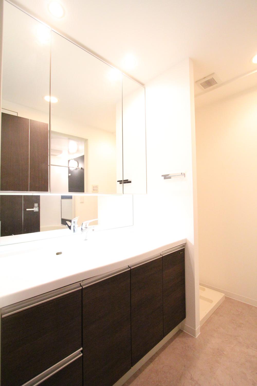 Wash basin, toilet. Interior