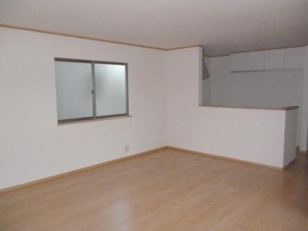 Living. Indoor photos (December 13, 2013) Shooting