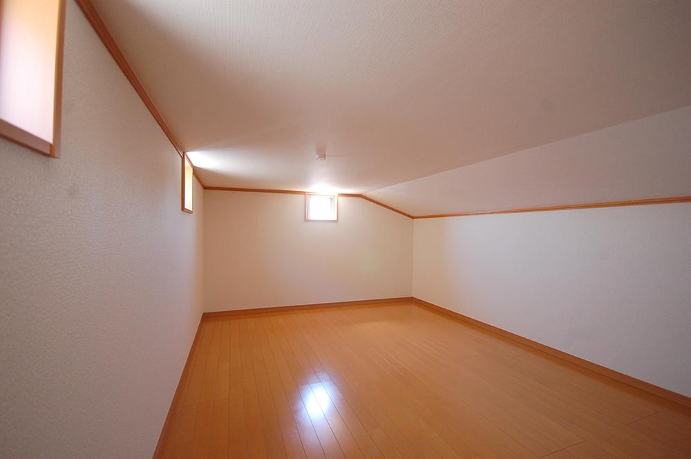 Other introspection. Local Photos