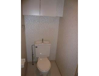 Toilet. Plenty Storage room of restroom