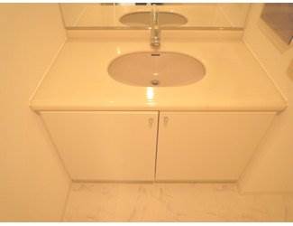 Washroom. Beautiful independent wash basin