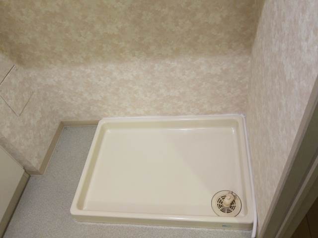 Other. There yard indoor washing machine