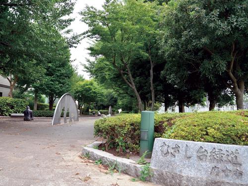 Other. The many green National, You can feel the natural flavor in casual along the road. "Musashidai green road" is at a distance of 6-minute walk from the local, Such a good day of the season and the weather, Pleasant to take a walk.