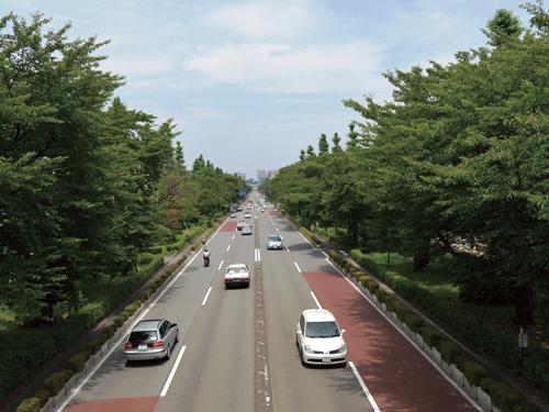 Other. Extending from the "National" station to Hitotsubashi University, "University Avenue" is a 20-minute walk from the local. Draw a stunning arch on both sides of the street is a large 200 cherry trees. Spring is the sight of the students of the city's unique cherry-blossom viewing, Summer fresh green, Autumn is to enjoy the season in fluttering dry leaves.