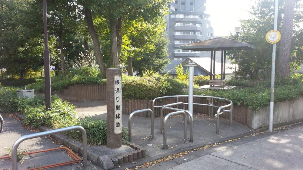 park. 104m lush environment street until woodlots brush