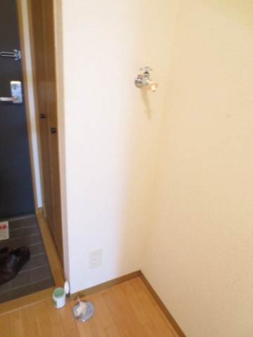 Other room space. Washing machine in the room