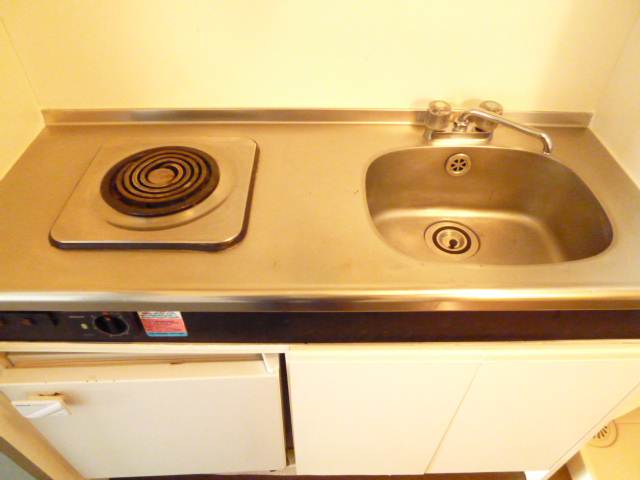 Kitchen. Mini-kitchen with refrigerator