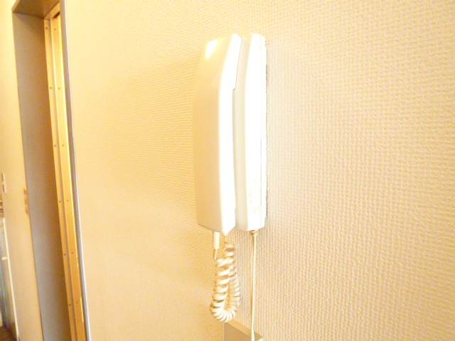 Security. Peace of mind in the intercom