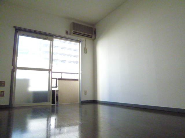 Living and room. Spacious Western-style