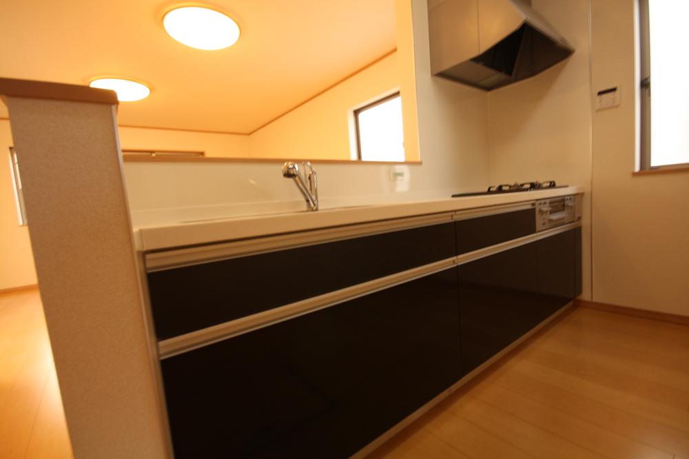 Kitchen. Indoor (12 May 2013) Shooting