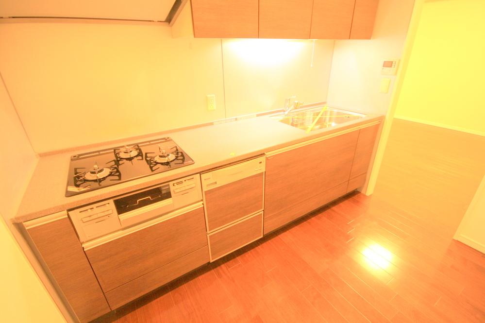 Kitchen. Indoor (12 May 2013) Shooting