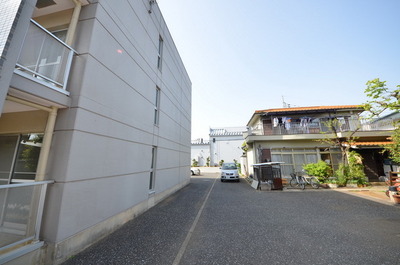 Other. 10m until the young leaves zelkova Mall (Other)