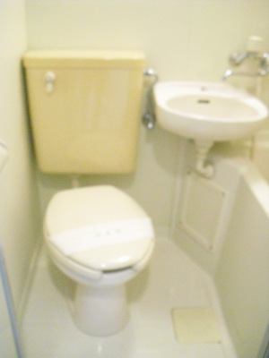 Toilet. Clean toilet ☆