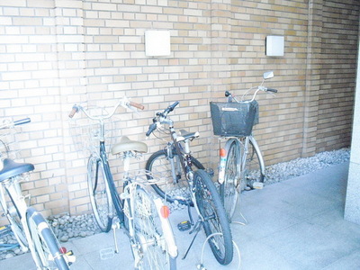 Parking lot. Bicycle parking space