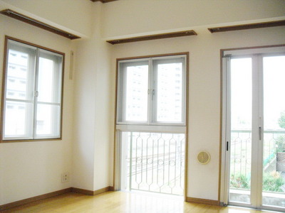 Living and room. Day good