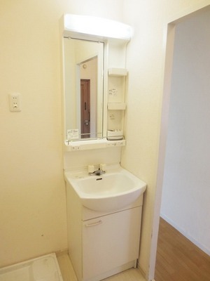 Washroom. Independent wash basin