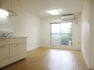 Living and room. Flooring