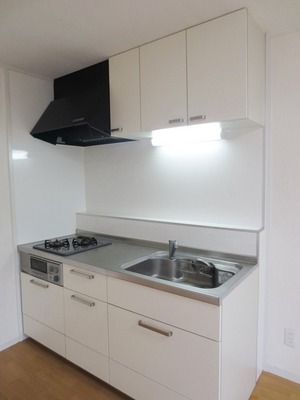 Kitchen. Gas two-burner system Kitchen