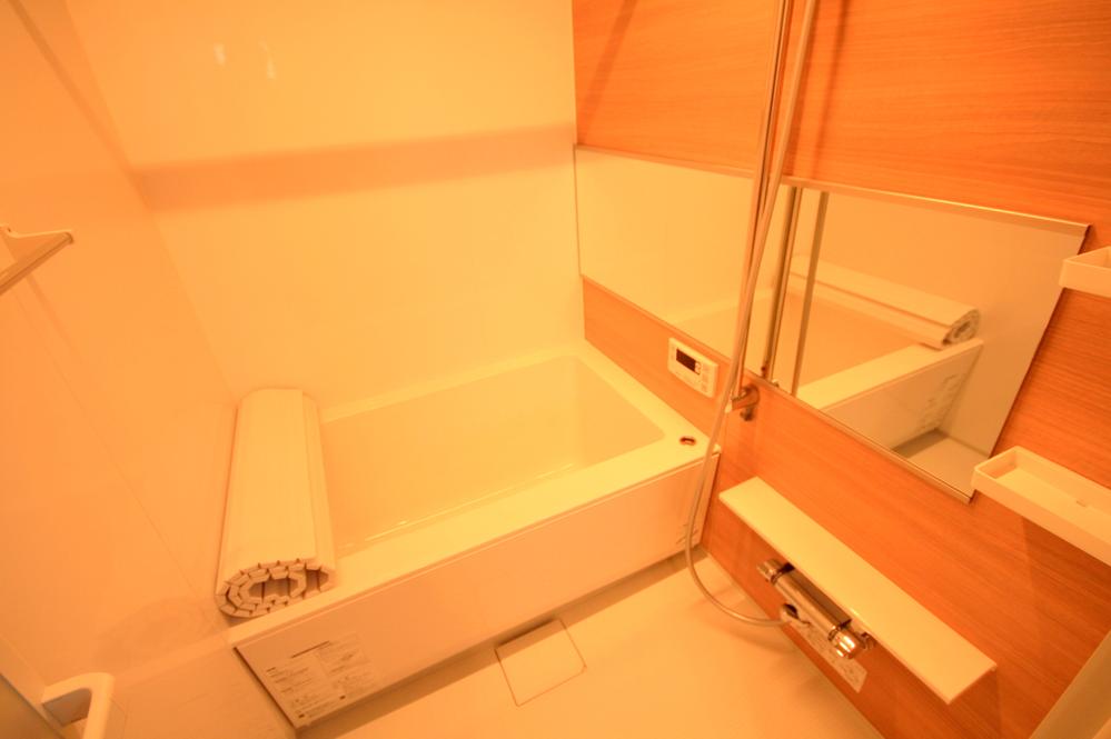 Bathroom. Local (12 May 2013) Shooting