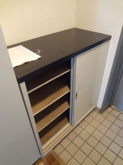 Entrance. There shoebox