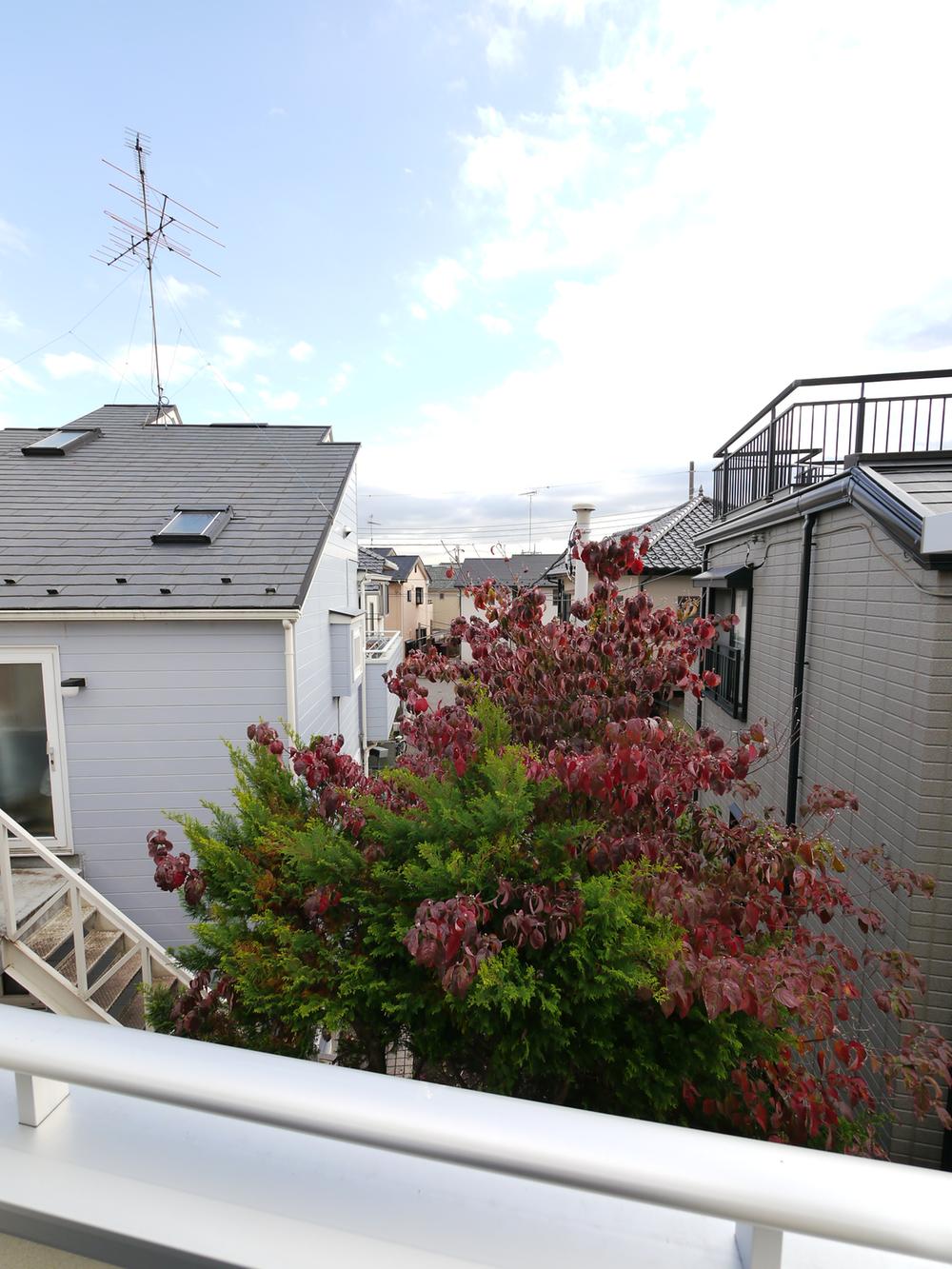 View photos from the dwelling unit. View from the south side of the missing second floor. 