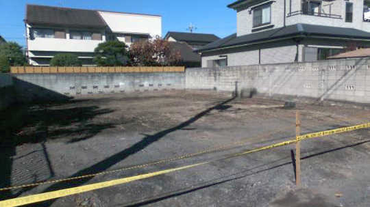 Local land photo. appearance