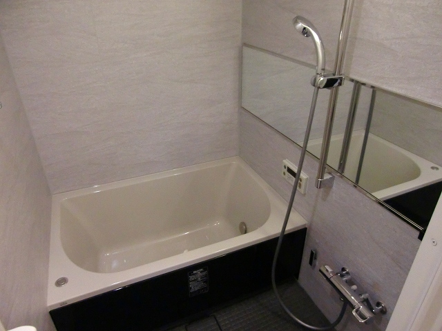 Bath. Bathing is a stylish design.