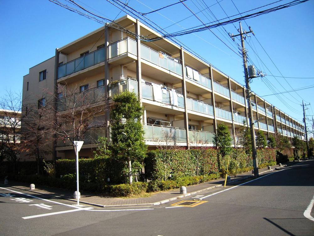 Local appearance photo. Low-rise housing was calm around.