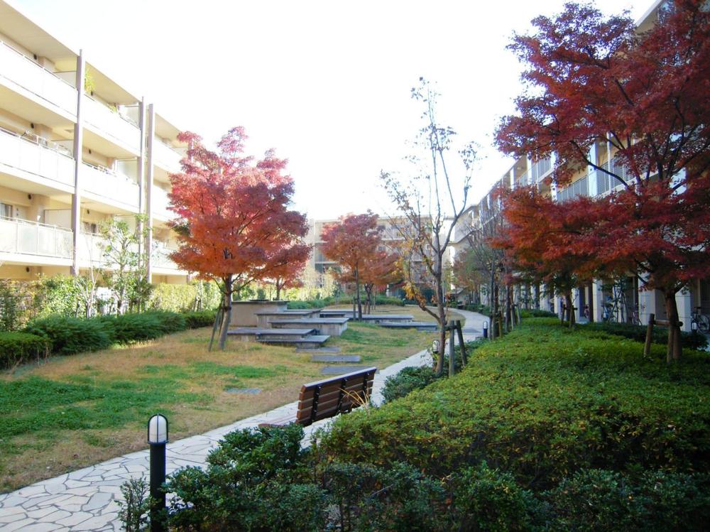 Other common areas. Common area courtyard.