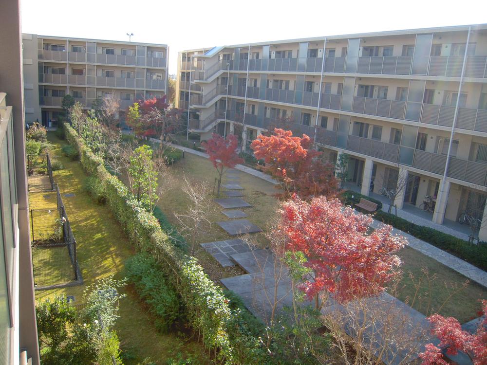 Other common areas. Common area courtyard