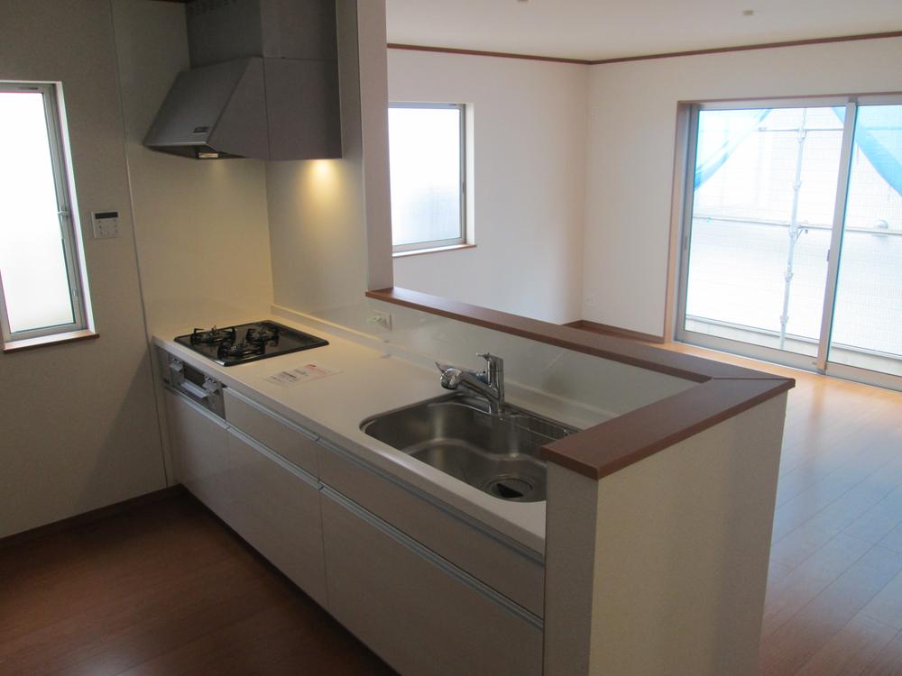 Kitchen. Indoor (11 May 2013) Shooting