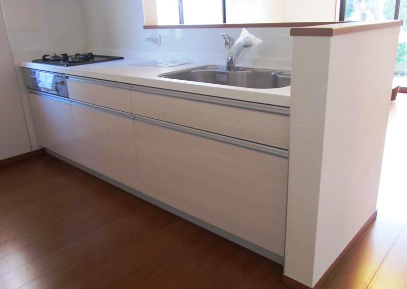 Kitchen. Indoor (12 May 2013) Shooting