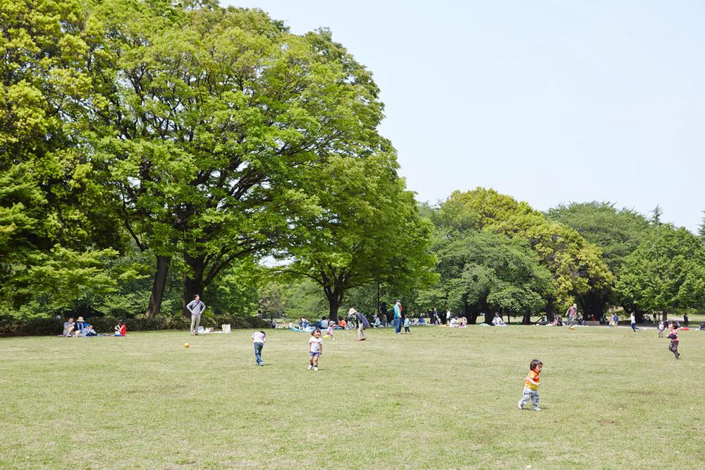 Other local. Kinutakoen (about than local 3600m / 12 minutes by car)